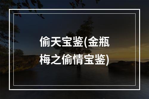 偷天宝鉴(金瓶梅之偷情宝鉴)