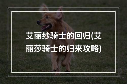 艾丽纱骑士的回归(艾丽莎骑士的归来攻略)