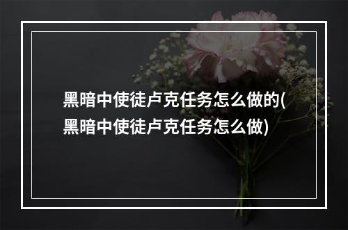 黑暗中使徒卢克任务怎么做的(黑暗中使徒卢克任务怎么做)