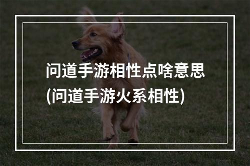 问道手游相性点啥意思(问道手游火系相性)