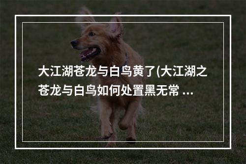 大江湖苍龙与白鸟黄了(大江湖之苍龙与白鸟如何处置黑无常 任务完成攻略)