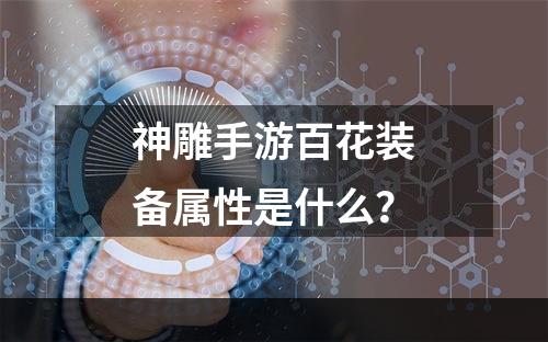 神雕手游百花装备属性是什么？