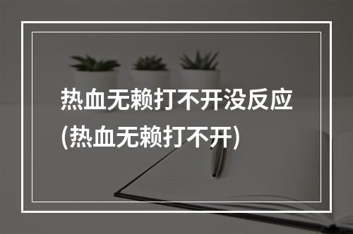 热血无赖打不开没反应(热血无赖打不开)