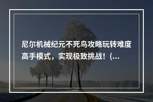 尼尔机械纪元不死鸟攻略玩转难度高手模式，实现极致挑战！(无敌模式大揭秘)