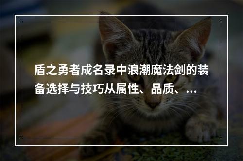 盾之勇者成名录中浪潮魔法剑的装备选择与技巧从属性、品质、强化等多个方面分析(浪潮魔法剑装备选择)