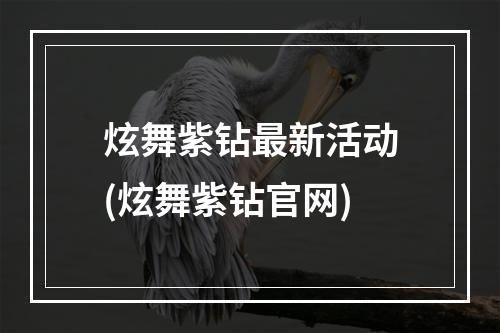 炫舞紫钻最新活动(炫舞紫钻官网)