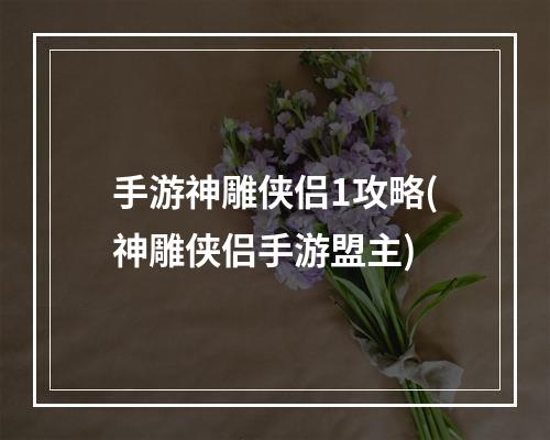 手游神雕侠侣1攻略(神雕侠侣手游盟主)