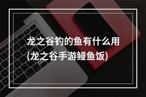 龙之谷钓的鱼有什么用(龙之谷手游鳗鱼饭)