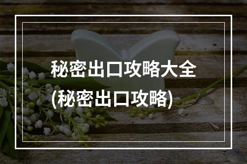 秘密出口攻略大全(秘密出口攻略)