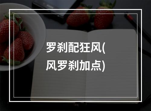 罗刹配狂风(风罗刹加点)