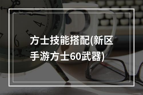 方士技能搭配(新区手游方士60武器)