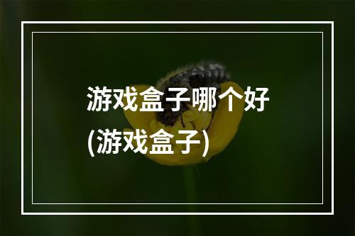 游戏盒子哪个好(游戏盒子)