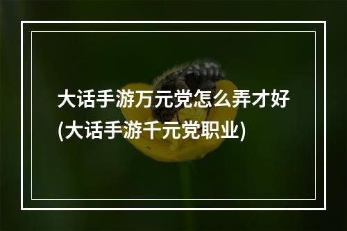 大话手游万元党怎么弄才好(大话手游千元党职业)