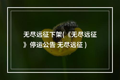 无尽远征下架(《无尽远征》停运公告 无尽远征 )