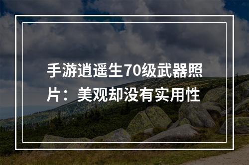 手游逍遥生70级武器照片：美观却没有实用性