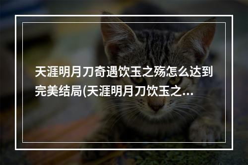 天涯明月刀奇遇饮玉之殇怎么达到完美结局(天涯明月刀饮玉之殇怎么完成 饮玉之殇奇遇完美结局达成)