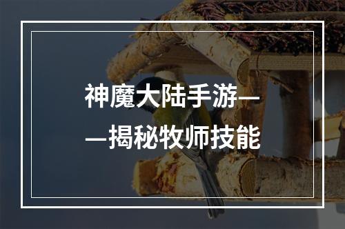 神魔大陆手游——揭秘牧师技能