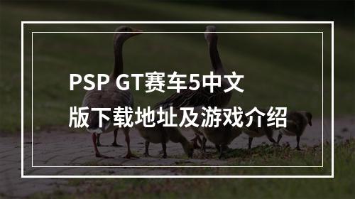 PSP GT赛车5中文版下载地址及游戏介绍