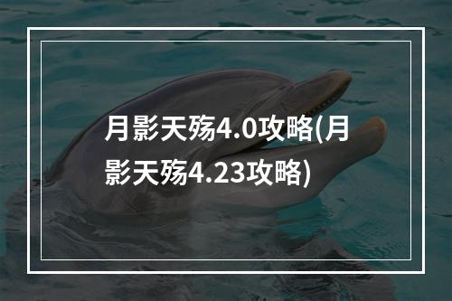 月影天殇4.0攻略(月影天殇4.23攻略)