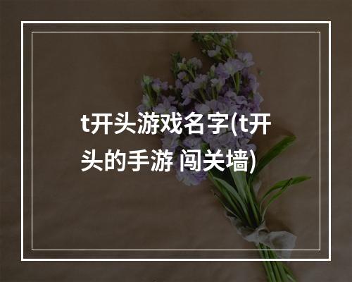 t开头游戏名字(t开头的手游 闯关墙)