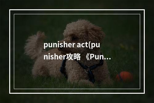 punisher act(punisher攻略 《Punisher》这款游戏具体怎么操作啊)