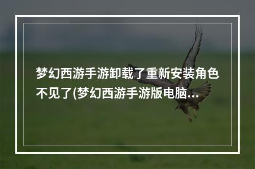 梦幻西游手游卸载了重新安装角色不见了(梦幻西游手游版电脑端 卸载)