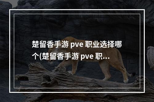 楚留香手游 pve 职业选择哪个(楚留香手游 pve 职业选择)