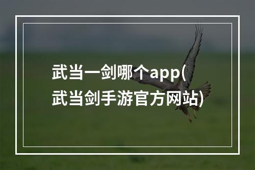 武当一剑哪个app(武当剑手游官方网站)