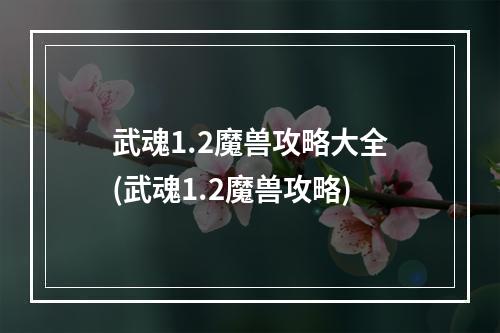 武魂1.2魔兽攻略大全(武魂1.2魔兽攻略)