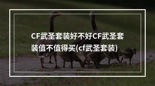 CF武圣套装好不好CF武圣套装值不值得买(cf武圣套装)