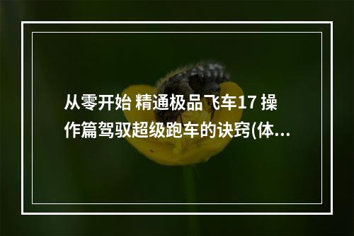 从零开始 精通极品飞车17 操作篇驾驭超级跑车的诀窍(体验不一样的极限驾驶 极品飞车17掌握攻略详解)