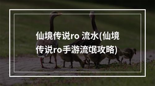 仙境传说ro 流水(仙境传说ro手游流氓攻略)