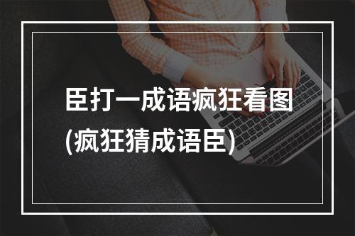 臣打一成语疯狂看图(疯狂猜成语臣)