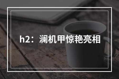 h2：澜机甲惊艳亮相