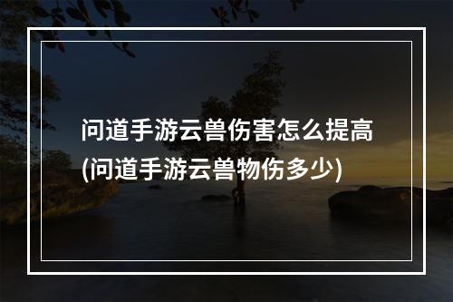 问道手游云兽伤害怎么提高(问道手游云兽物伤多少)