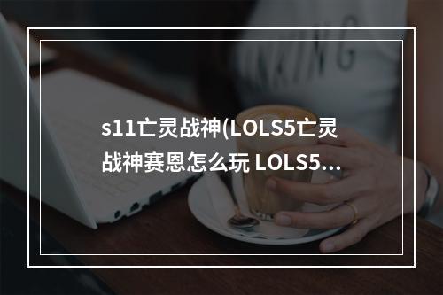 s11亡灵战神(LOLS5亡灵战神赛恩怎么玩 LOLS5亡灵战神天赋符文介绍)