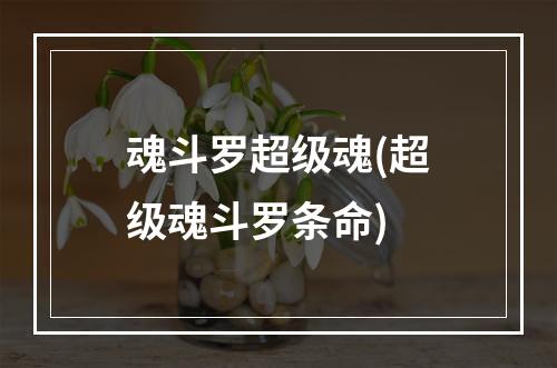 魂斗罗超级魂(超级魂斗罗条命)