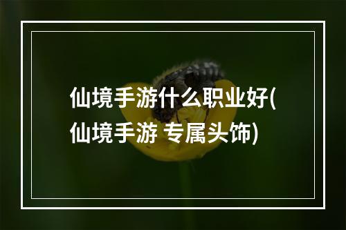 仙境手游什么职业好(仙境手游 专属头饰)