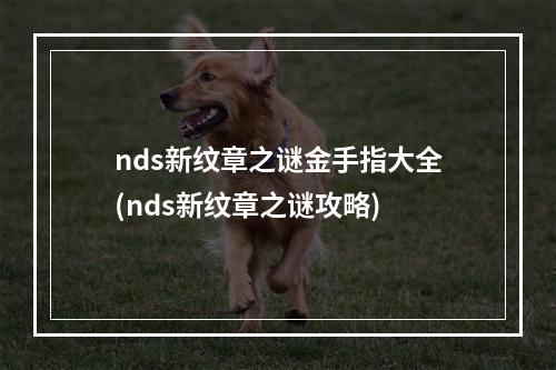 nds新纹章之谜金手指大全(nds新纹章之谜攻略)