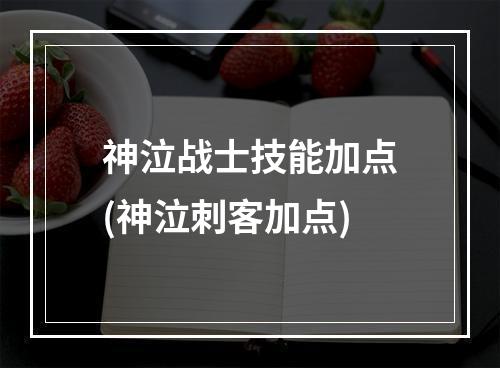 神泣战士技能加点(神泣刺客加点)