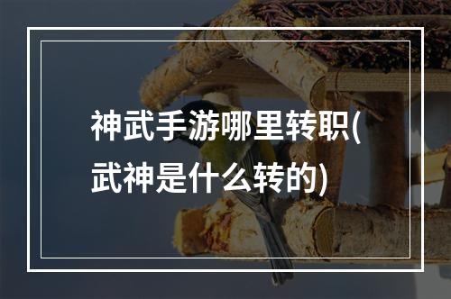 神武手游哪里转职(武神是什么转的)