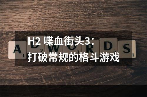 H2 喋血街头3：打破常规的格斗游戏