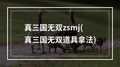 真三国无双zsmj(真三国无双道具拿法)