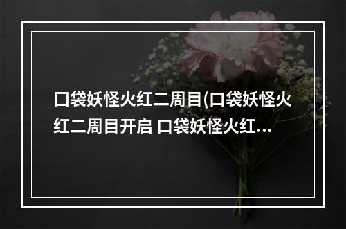 囗袋妖怪火红二周目(口袋妖怪火红二周目开启 口袋妖怪火红 )