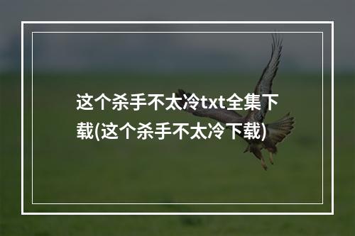 这个杀手不太冷txt全集下载(这个杀手不太冷下载)