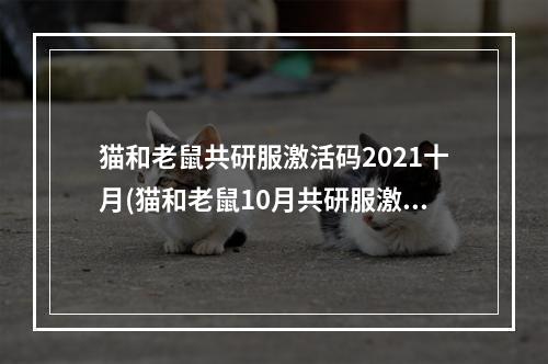 猫和老鼠共研服激活码2021十月(猫和老鼠10月共研服激活码10月激活码免费领取方法)