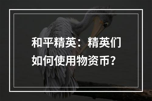 和平精英：精英们如何使用物资币？