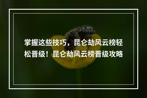 掌握这些技巧，昆仑劫风云榜轻松晋级！昆仑劫风云榜晋级攻略