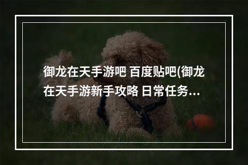 御龙在天手游吧 百度贴吧(御龙在天手游新手攻略 日常任务篇)