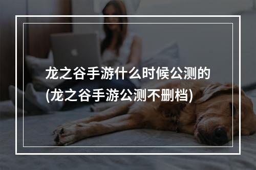 龙之谷手游什么时候公测的(龙之谷手游公测不删档)